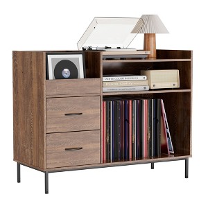 QingMoon Vinyl Record Storage Stand, Wood Grain Media Console with Adjustable Shelves, Flip-Down Lid and 2 Drawers for Living Room, Office - 1 of 4