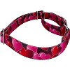 Country Brook Petz Martingale Dog Collar - Affection Collection - 3 of 4