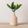 Succulent Plant Pick (Set of 6) - 2 of 3