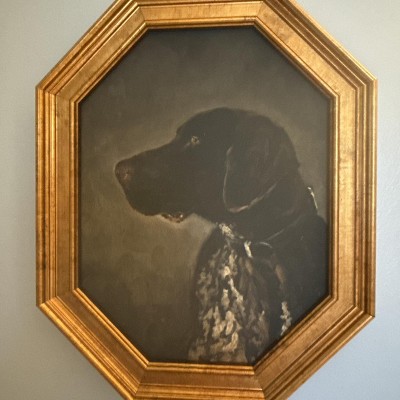 Guest review image 2 of 2, zoom in