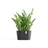 Ecopots Sofia Durable Modern Oval Indoor/Outdoor Recycled-Based Composite Flower Pot Planter w/ Water Reservoir - 4 of 4
