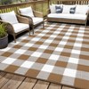 Outdoor Modern Stripe Picnic Mat Lightweight Woven Plastic Straw Rug for Camping Garden Backyard Patio Auto Low Pile Reversible Erasable Area Rugs - 4 of 4