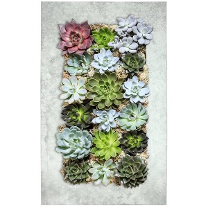 Modern Home Living Wall Galvanized Steel/Zinc Succulent Planter - 1 of 4