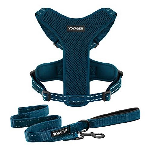 Voyager Air Frontier Adjustable Dog Harness And 6ft Leash Combo,breathable  Mesh, Prussian Blue, L : Target