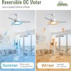46 inch Quiet Ceiling Fans with Lights and Remote Modern High CFM Bedroom Ceiling Fan Dimmable 6-Speed 3-Timer Reversible DC Motor for Living Room - 4 of 4
