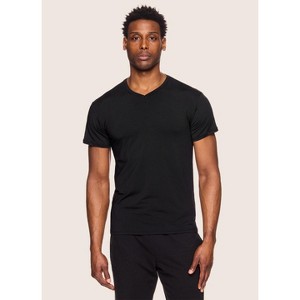 RBX Active Men's Ultra Soft V-Neck Undershirts 2-Pack, Moisture Wicking Short Sleeve T-Shirts with Four-Way Stretch - 1 of 3