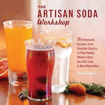 Artisan Soda Workshop - by  Andrea Lynn (Paperback)