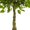 HomeStock  3 ft. Artificial Ficus Tree in Pot for Indoor/Outdoor - 3 of 3