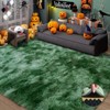 Tie-Dyed Green Fluffy Area Rug, Ultra Soft Non-Slip Mat with 4 Stickers, Multiple Sizes for Home Decor - 4 of 4