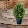 National Tree Company 32" Cypress Artificial Tree: Indoor/Outdoor Decor, Potted, Lifelike Faux Shrub - 2 of 3