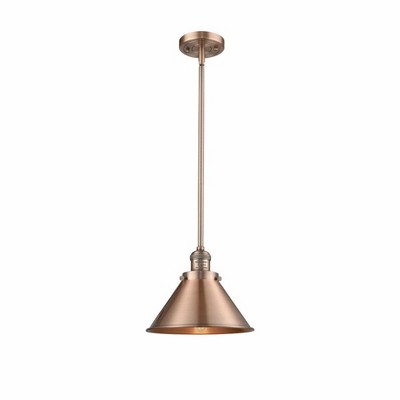 Franklin Restoration - 1 Light Briarcliff Mini Pendant In TraditionalStyle-10 Inches Tall and 10 Inches Wide