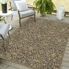 Playa Rug Eliza Rectangle Woven Indoor Outdoor Rugs - image 4 of 4