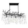 CWI Lighting,Anita 10 Light Chandelier With Black Finish - 2 of 4