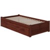 HomeStock Concord Twin Platform Bed with Flat Panel Footboard and Turbo Charger with Twin Size Urban Trundle in Walnut - 4 of 4