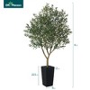 DR.Planzen 5-8FT Adjustable Artificial Olive Tree - UV Resistant Fake Plant in 15.7-22.7" Tall Planter (B/W/Coffee) for Indoor/Outdoor - 4 of 4