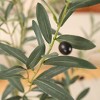 DR.Planzen Fake Plastic Olive Tree with Oval White Planter, Pre Potted Faux Greenry Plant With Encrypted branch and Artificial Fruits for Home Decor - 3 of 4