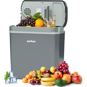 Heynemo Electric Cooler & Warmer with Handle, 21QT Portable Thermoelectric Car Refrigerator, Plug-in Mini 12V Fridge for Travel, Camping, Office Grey - 1 of 4