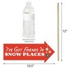 Big Dot of Happiness Funny Christmas Cowboy - Western Santa Party Photo Booth Props Kit - 10 Piece - 3 of 4
