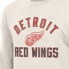 NHL Detroit Red Wings Men's Long Sleeve Oat Crew Neck Fleece - 3 of 3