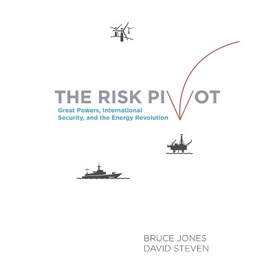 Risk Pivot - by  Bruce D Jones & David Steven (Paperback)