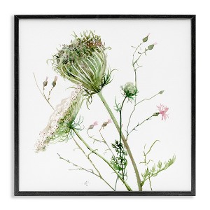 Stupell Industries Blooming Queen Anne's Lace Wildflower Watercolor Painting, 24" x 24" - 1 of 4