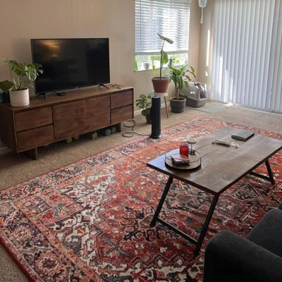 user image by Victoria, Nuloom Indoor/Outdoor Transitional Emblem Patrice Area Rug