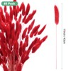 Unique Bargains Artificial Dried Flowers Realistic Look Pampas Bunny Tails Grass 17 Inch - 3 of 4