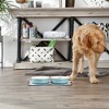 Bone Dry Pet Bowl - Chevron Teal - Large 7.5Dx2.4H Set/2 - 4 of 4