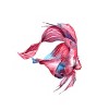 Junior's Design By Humans Betta Fish By GisaPizzatto T-Shirt - 2 of 3