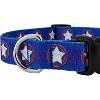 Country Brook Petz Deluxe American Stars Dog Collar - Made In The U.S.A. - image 3 of 4