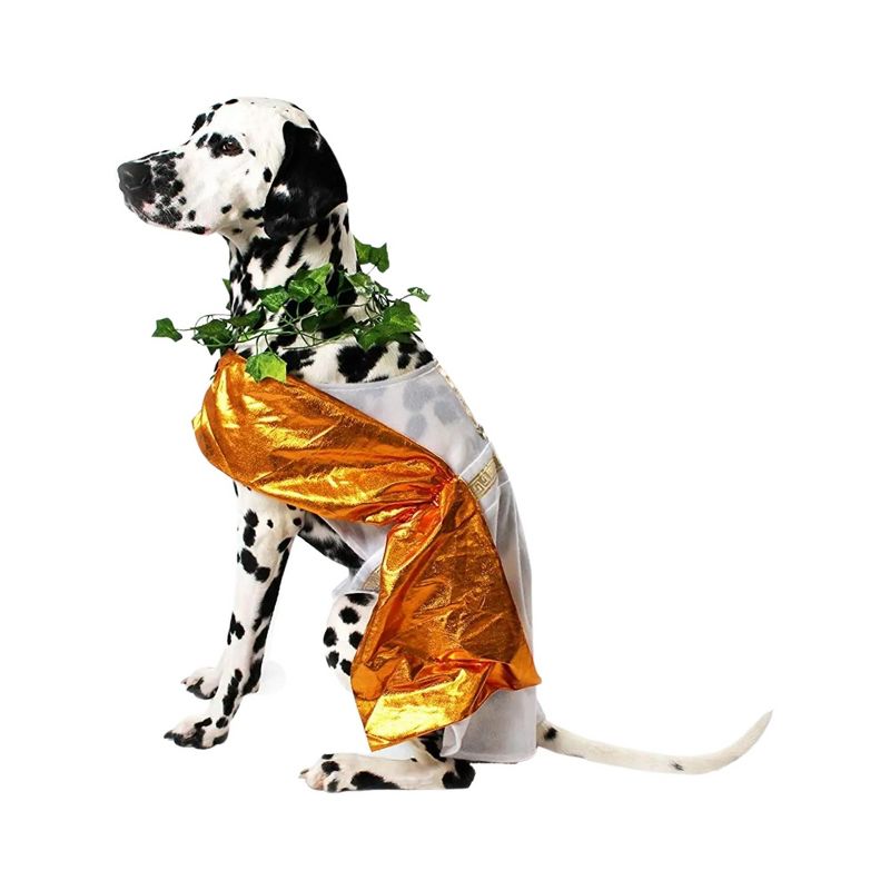 Midlee Toga Dog Costume, 3 of 10