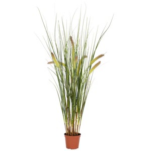 Nearly Natural 2.5-ft Grass Plant - 1 of 1