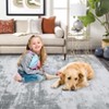 Washable Area Rug - Non-Slip Low Pile Carpet for Living Room & Bedroom (Pet & Kid Friendly) - 2 of 4