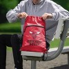 NBA Chicago Bulls Big Logo Drawstring Bag - image 3 of 4