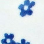 georgia blue