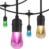 Seasons Vintage LED Café Lights with Acrylic Bulbs - Enbrighten - 4 of 4