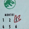 NoJo Welcome to the Universe Baby, Jurassic World I'm-a-Roar-able Dinosaur Super Soft Milestone Baby Blanket, Aqua, Green Red, Yellow - 4 of 4