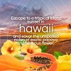 Air Wick Plug-in Scented Oil Air Freshener Refills - Hawaii - 6pk - 4 of 4