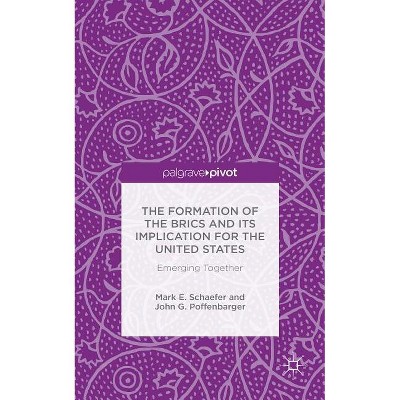 The Formation of the Brics and Its Implication for the United States - by  M Schaefer & J Poffenbarger (Hardcover)