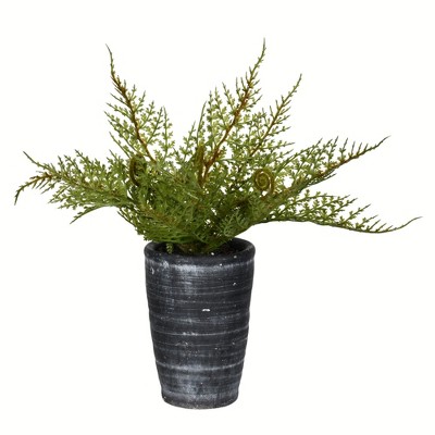 Vickerman 8.5" Artificial Green Potted Asparagus Fern.