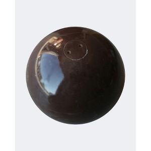 Amber Fight Gear Precision Performance Iron Shot Put,versatile for training& competition,with sturdy cast iron build and durable polyurethane coating. - 1 of 4