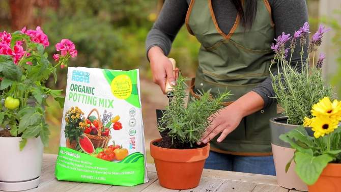 Back to the Roots Organic Alpine Strawberry Kids Grow Kit Science Edition, 2 of 12, play video