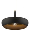 Livex Lighting Banbury 1 - Light Pendant in  Black/Antique Brass - 2 of 3
