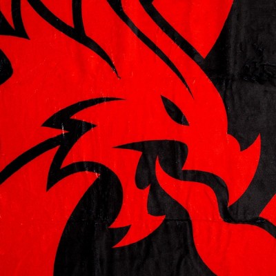 Dungeons & Dragons Black and Red Fleece Throw Blanket 45 x 60 Inches