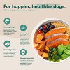 Jinx Dry Dog Food with Salmon, Brown Rice & Sweet Potato - 3 of 4