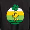 Boys' - Peanuts - Woodstock Shamrock Graphic Long Sleeve Fleece Sweatshirt - 2 of 4