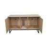 24" Cat Litter Box Furniture Enclosure with Scratch Pad,Modern Hidden Cat House Cabinet,Durable Design for Indoor Use – LAOTIES - 2 of 4
