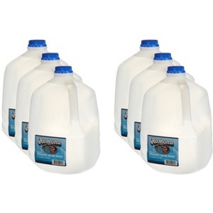 Ramona Water Mountian Spring - Count of 6 - 1ga - 1 of 2