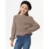 Girls Crewneck Knit Pullover Sweaters Long Lantern Sleeve Oversized Knit Cute Jumper Tops - 4 of 4