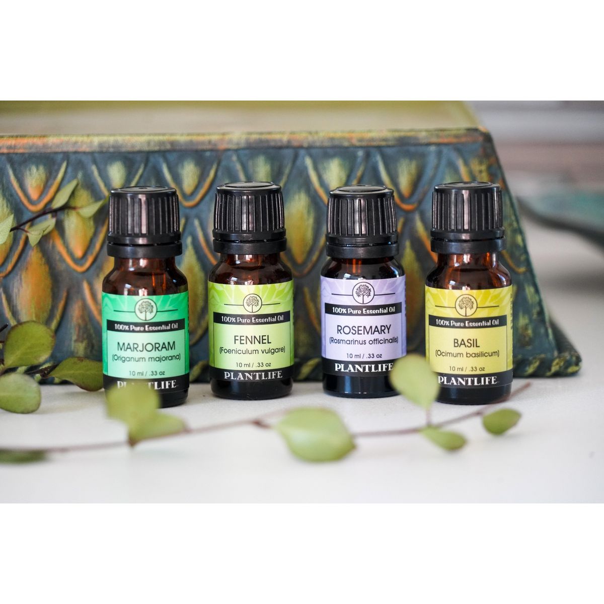 Plantlife Basil Essential Oil – 100% Pure & Therapeutic Grade – Natural, Undiluted & Steam-Distilled – No Additives or Fillers – Aromatherapy – 10ml - thumbnail 3